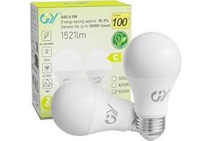 GY Ampoule LED E27 9.5W (équivalent 100W), 6500K Blanc Froid 1521 lumens, A60 Ampoules E27 LED Efficacité Energétique, Dépolie, Non-Dimmable, 2 Unité (Lot de 1)