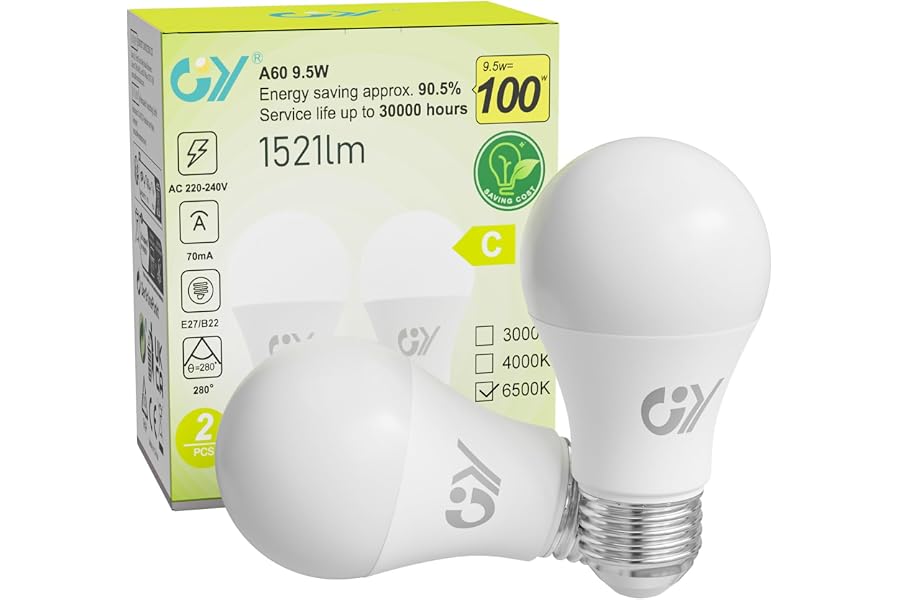 GY Ampoule LED E27 9.5W (équivalent 100W), 6500K Blanc Froid 1521 lumens, A60 Ampoules E27 LED Efficacité Energétique, Dépoli