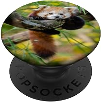 Red Panda Lesser Panda Bear Cat Animal Zoo Nature Cute PopSockets ...