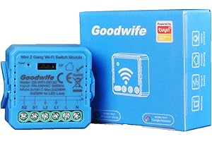Good wife Interruttore Relè WiFi, APP Controllo, Modulo interruttore della luce intelligente 2 Gang,Compatibile con Alexa e Google Home, Interruttore Luce Switch 2-Way, 2.4G WiFi (1)