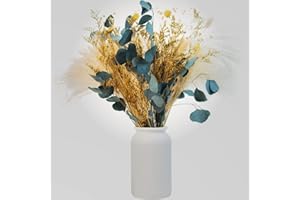 LZGS GO SWING BANDS Flores secas Decoracion Pampas Secas Decoracion Ramo Flores Secas Naturales DIY Ideal para Salón Boho Dormitorio Jarrones (LZGSGO-0106)