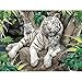 Produktbild Malen Nach Zahlen Für Erwachsene DIY Zwei Snowy White Wölfe Spielen Acryl Malerei Home Decor Mit Bürsten-Framed