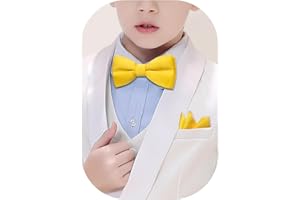 Barry.Wang Papillon pre-legato di seta paisley papillon fazzoletto bambino compleanno matrimonio foto formale festa banchetto