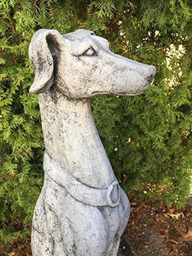 Steinfigur Gartenfigur Dekohund Greyhound Figur Hund Windhund Statue 76,8 Höhe - 2