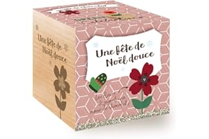 Feel Green Celebrations Ecocube, Goutte De Chocolat, Avec Un Message Gravé De Haute Qualité Une Fête De Noël Douce, Idée CadeauGrow-Your-Own/Kit Prêt-à-Pousser, Plantes dans des Cubes en Bois 7.5cm