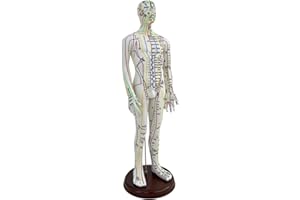 Amagogo Modello di agopuntura Altezza 54cm Modello del corpo umano per professionisti con base PVC multifunzionale con punti inglesi, Maschio