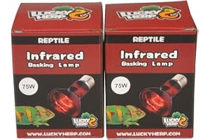 LUCKY HERP Lampadina riscaldante a infrarossi per rettili, confezione da 2, E27, filettatura a vite (75 Watt)