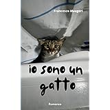 Io sono un gatto