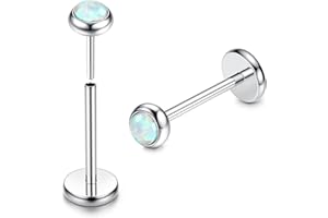 ADRAMATA 2Pcs G23 Titanium Labret Studs Lip Piercing Jewellery Threadless Push in Medusa Monroe Piercing Lip Bar Earring Piercing Studs Nose Studs Nose Piercing Conch Tragus Helix Piercing Jewellery