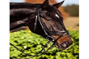 COVALLIERO Agritura Testiera Standard Marrón Purosangue