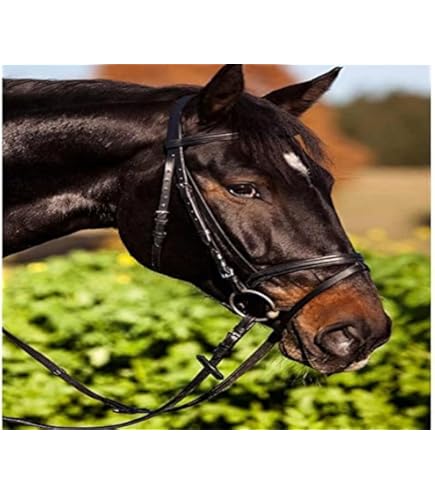 Agrarshop Pâturage pour chevaux sursemé 20 kg de graines de pâturage