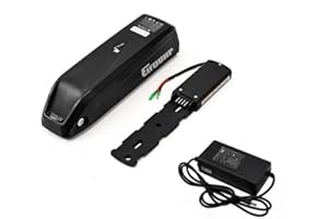 EIFDUHP Batteria Ebike 36V 48V 10AH-22.5AH Batteria Litio Bici Elettrica per 1500W-250W Motore Bicicletta, con Caricabatterie, Piastra Base 4 Pin/5 Pin e Cella Grado A