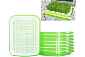 STCRERAG 5 Stück Keimung Tablett Kunststoff Samen Keimung Tablett 34 * 25 * 4cm Plastik Seed Sprouter Hoch atmungsaktive Seed Starter Tray Dauerhaft Kresse Keimschale für Verschiedene Samen (Grün)