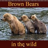  Brown Bears in the wild 2019: 12 stunning photos of brown bears (Calvendo Animals)