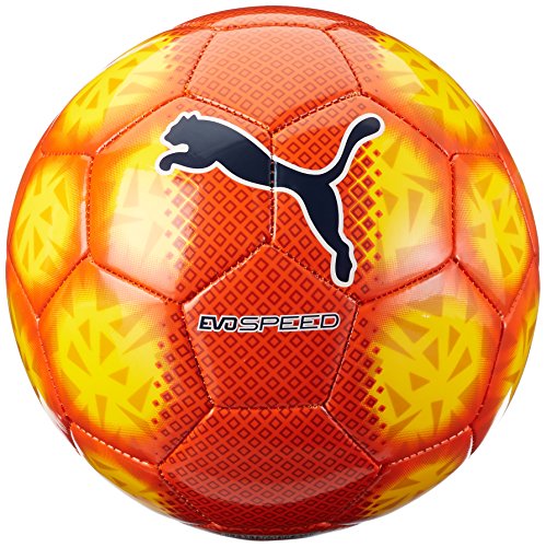 Puma Evospeed 5.5 Fade Ball