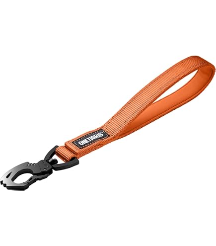 Kurze Reflektor-Hundeleine Mit O‑Ring – Extra Stark Für Große & Mittlere Hunde, 45 Cm, Schwarz