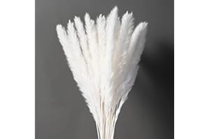 CHBOP 35 x Getrocknetes Pampasgras natürlicher Blumenstrauß Deko für Inneneinrichtungen Fotografie Hochzeit