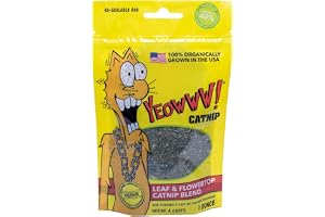 YEOWWW 8 12402 00001 0 Kattmyntapåse, 28,35 g
