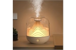Mr.wintek 700ml Top Fill Luftbefeuchter Schlafzimmer, USB Mini Humidifier Ultraschall, Automatische Abschaltung, Nachtlichtfunktion, Leise für Kinderzimmer Yoga Büro Pflanzen, 2 Filter