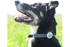 Sure Petcare Animo Activity Tracker and Behaviour Monitor, Subscription Free, Monitor Pet Activity, Sleep Quality, Barking, Scratching & Shaking, Lightweight and Waterproof, 6 Month Battery Life