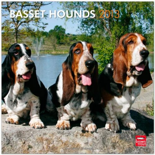 Basset Hounds 2013 - Bassets - Original BrownTrout-Kalender