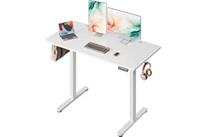 ‎DEVAISE DEVAISE Height-adjustable desk, 120 x 60 cm, with one-piece table top and quiet motor, sit-stand desk with memory function for 3 heights, ergonomic computer desk for office, white