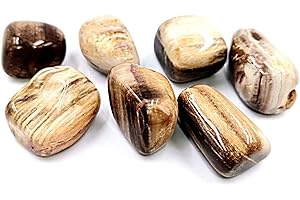 GENERICO CRIGEMA - Pietre levigate minerali naturali Cristalloterapia e Reiki cristalli - pietra singola 35-40 mm (LEGNO FOSSILE BIG)