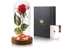 DREAM OF FLOWERS rose eternelle, rose eternelle sous cloche - Cadeau Unique pour la Saint Valentin, Fête des mères, Noël et Un Anniversaire, Rose Galaxie pour Elle, Petite Amie, épouse, Femme (base marron)