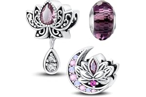 HappyStar Argent Sterling 925 Personnalisé Insectes Pendentif perles trèfles quatre feuilles fleurs pour femmes compatibles bracelets européens colliers Pandora (avec une perle d'espace)