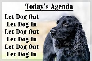 COUNTRYSTYLE GIFTS Black Cocker Sprocker Spaniel Funny Fridge Magnet Gift