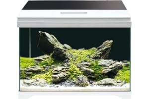 Croci Amtra MODERN Tank 50 LED - Aquarium komplett mit LED-Beleuchtung und Innenfilter/cm 50,5x25,5x40 / 40 Liter