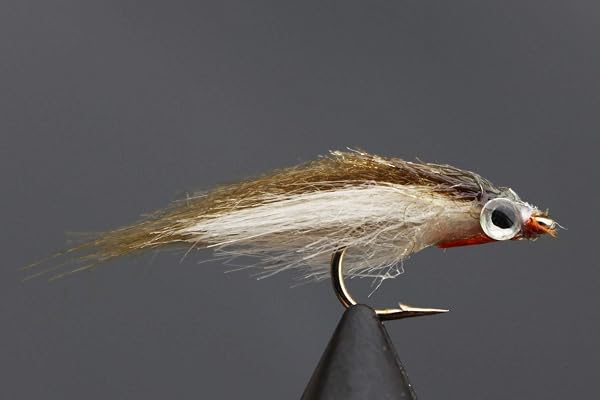 Tigofly Lot de 12 leurres de pêche à la mouche pour saumon, truite, truite, méné et pêche à la mouche - Taille #8
