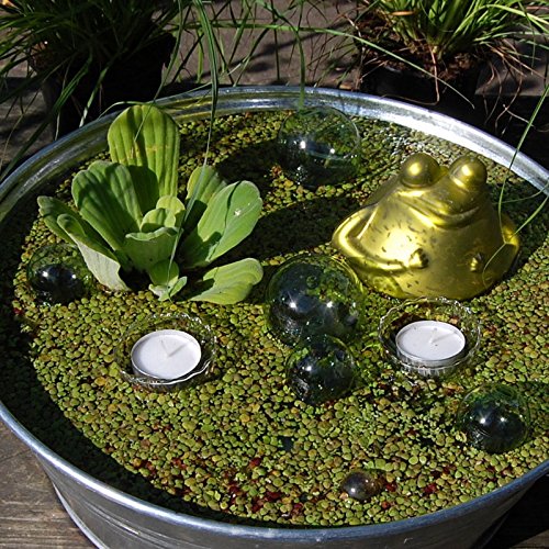 Miniteich mit Zinkwanne Glasschwimmkugeln Teelicht Schwimmfrosch und Wasserpflanzen - 3