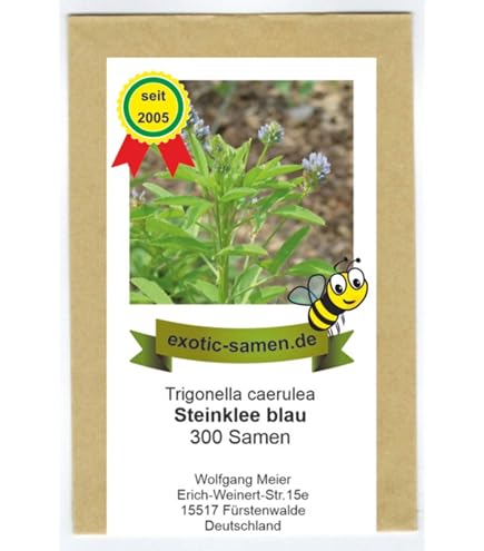 Gelber Steinklee Samen – 300 Samen, Melilotus Officinalis, Heilpflanze Für Venen & Gegen Husten