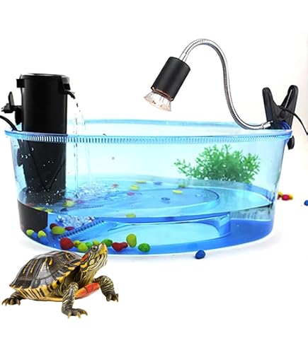 Hemobllo Acryl Terrarium Für Spinnen & Insekten – Transparente Micro-Box Mit Belüftung, Ideal Als Spider Habitat Oder Fütterungsbox