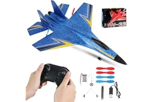RNPKZ F-22 RC Aereo 2.4 Ghz 2 Canali, Aereo telecomandato, Aereo telecomandato, Aereo radiocomandato, Modellino di aereo controllato da remoto con sistema giroscopio Xpilot per principianti (blu F22)