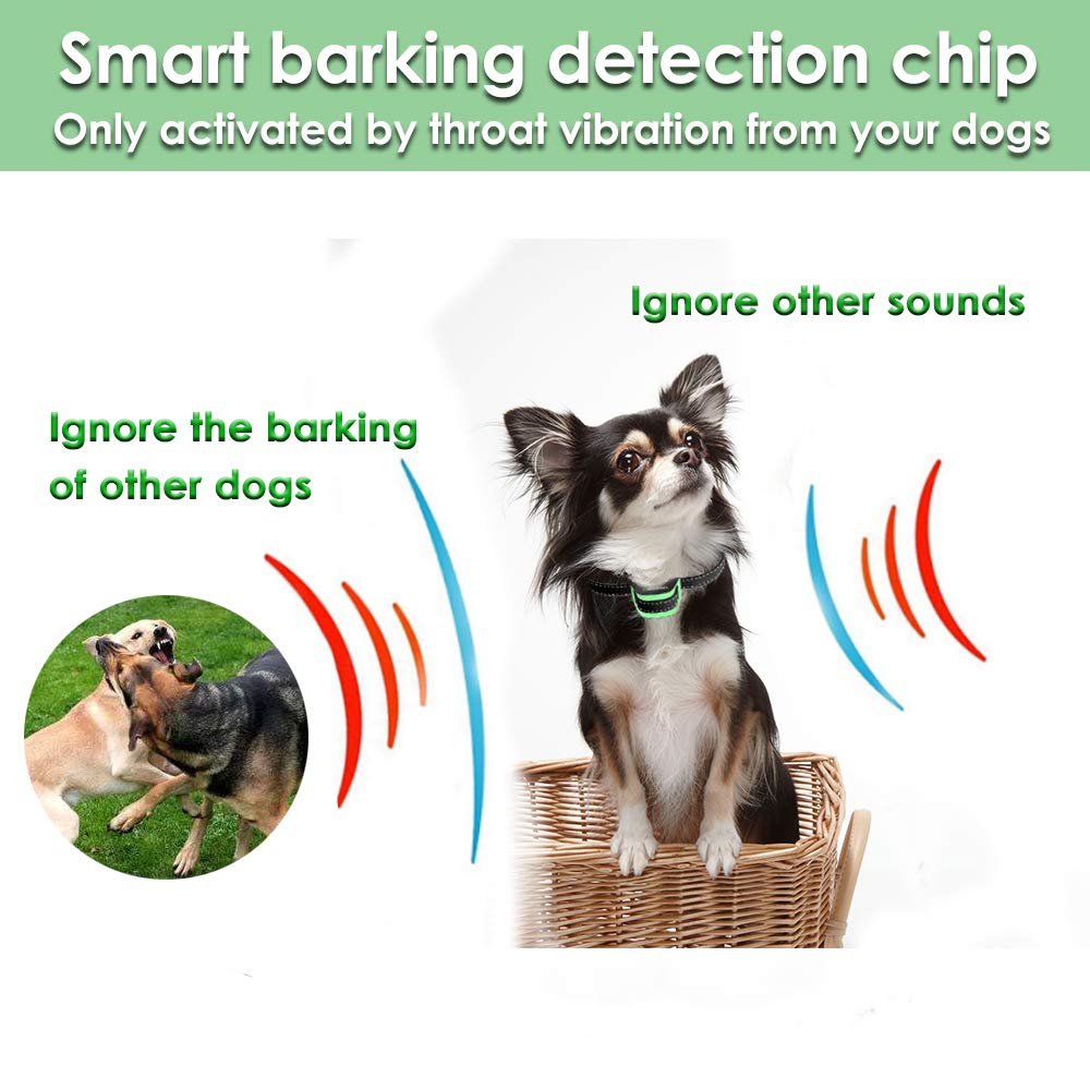 MASBRILL-Collier-de-Chien-Qui-aboie-pour-25-25-kg-Petits-Chiens-Collier-de-Dressage-Anti-aboiement-Intelligent-avec-Puce-et-Sons-amliors-avec-Son-et-Vibrations-Aucun-Danger-S-Vert