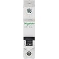Schneider Electric Polycarbonate Acti 9 6-ampere 1-Pole MCB (White), Standard (FE_A9N1P06B)