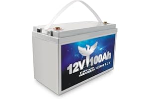 ‎ELFHUB Elfhub LifePO4 Akku 100Ah 12V mit über 8000 Tiefzyklen und BMS, Autobatterie für Solaranlage, Wohnmobil, Boot, Haushalt, Solarpanel Kit und Camping, Lithiumbatterie wiederaufladbar