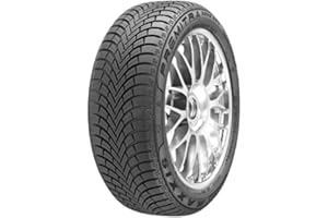 MAXXIS WP6 Premitra Snow Winter Tyres, 205/55R16 91H E/B/70dB