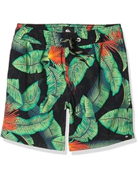 Quiksilver Jungen Badeshorts Glitchedvlyou 15 B