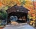 Produktbild White Mountain Puzzles Spanplattenschrauben Puzzle 1000 Stück 24 x 30, Albany Covered Bridge