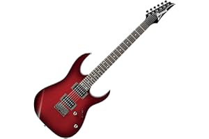 Ibanez Standard RG421-BSS Blackberry Sunburst - Ibanez E-Gitarre