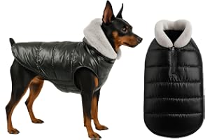 The Pets Company Dog Winter Coat Jacket, Clothes, Windproof, Waterproof, Light Weight, Washable, Ultra Warm Thick Fleece Lined Dog Vest for Cold Weather Protection, (Black, X - Small - 12 Inch)