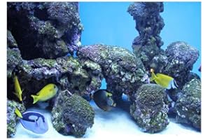 FDIT Poster de fond d’aquarium, motif corail sous-marin, décoration murale, autocollant PVC