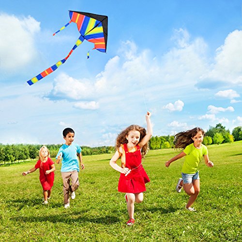 Foxom 2Pcs Rainbow Kite for Kids, Girls, Boys, Toddlers - Most Popular Outdoor Toys, Huge Kite with 50m/164 Feet Flying Line