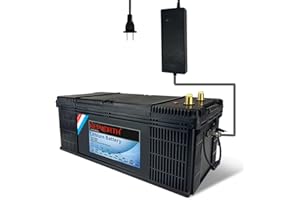 KEPWORTH 24V 100Ah LiFePO4 Battery Deep Cycle Lithium Iron Phosphate Battery Built-in BMS Lightweight Maintenance-Free Perfect for RV/Camping, Solar/Backup Power,Trolling,Motor/5-Years Warranty