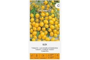 ŽALIA STOTELĖ Zalia stotele | SEMILLAS DE TOMATE ILDI | Semillas de hortalizas | Semillas de plantas | Semillas Tomate | Semillas de jardín | 1 paquete