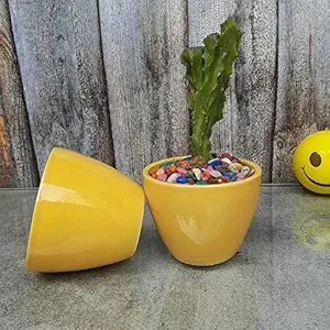 Sazao Small Ceramic Minipots Pack of 2 for Indoor Plants (Yellow)