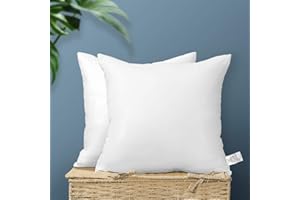 Artscope Set di 2 Cuscini Riempimento Cuscino Interno Inserti Cuscino Plump Cuscino Decorativo di Lusso Set di Cuscini Premium per Camera da Letto Soggiorno Letto Divano Divano Esterno (40 x 40 cm)